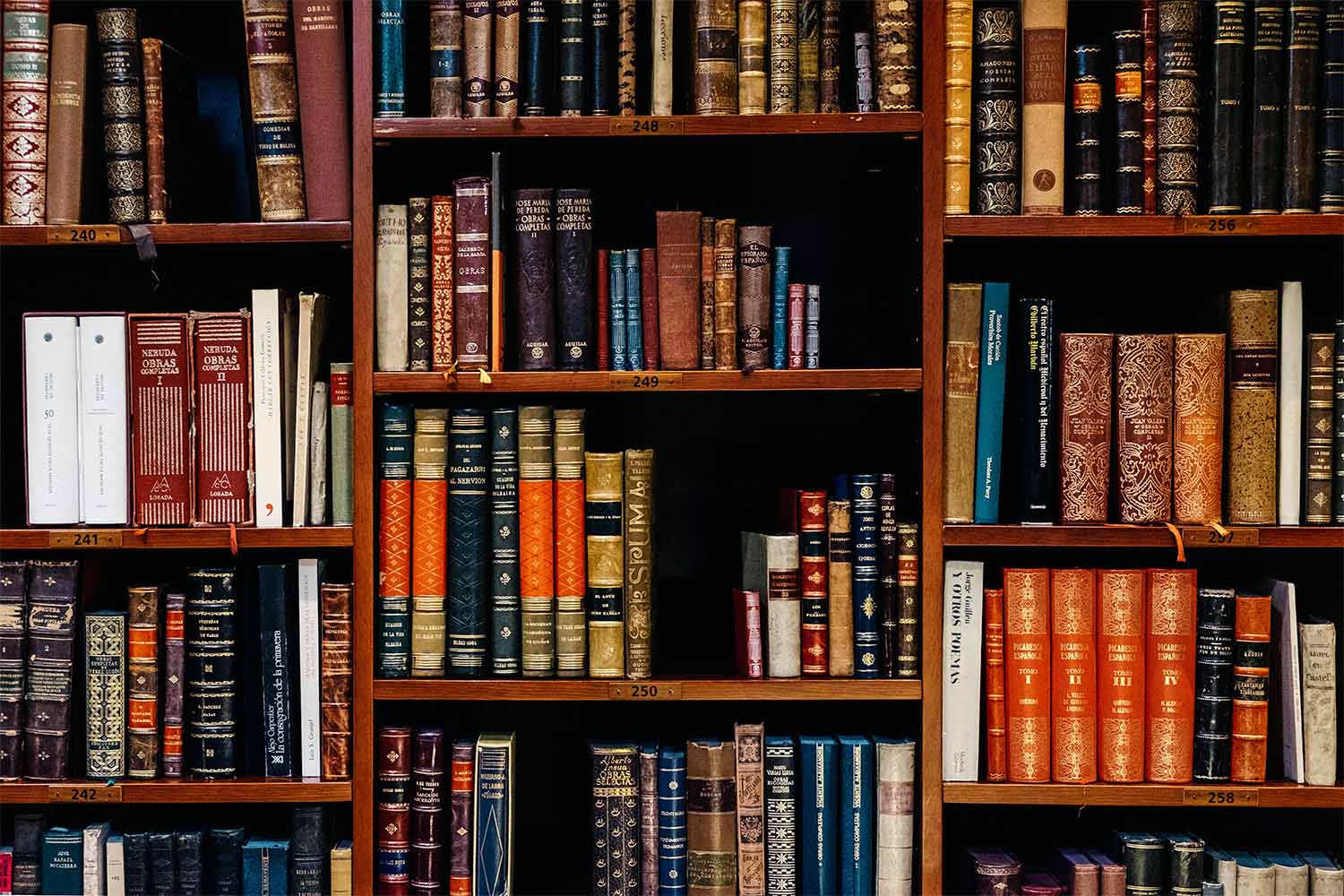 bookshelf